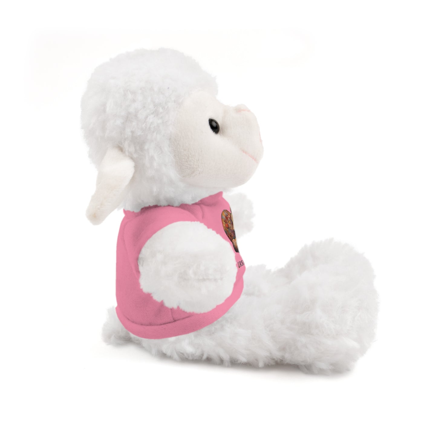 BearHeart Stuffed Animals with Tee