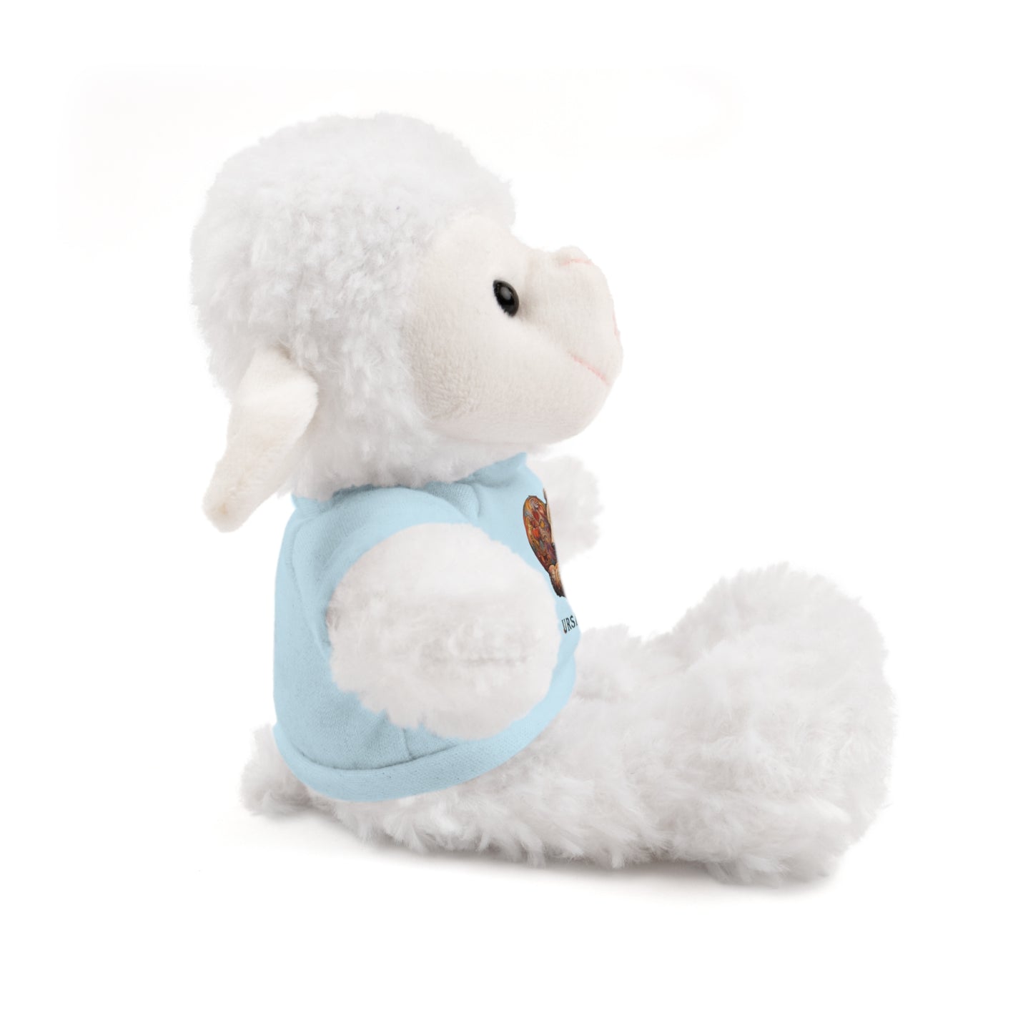 BearHeart Stuffed Animals with Tee