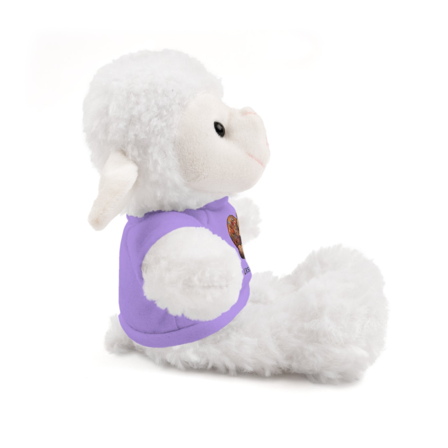 BearHeart Stuffed Animals with Tee