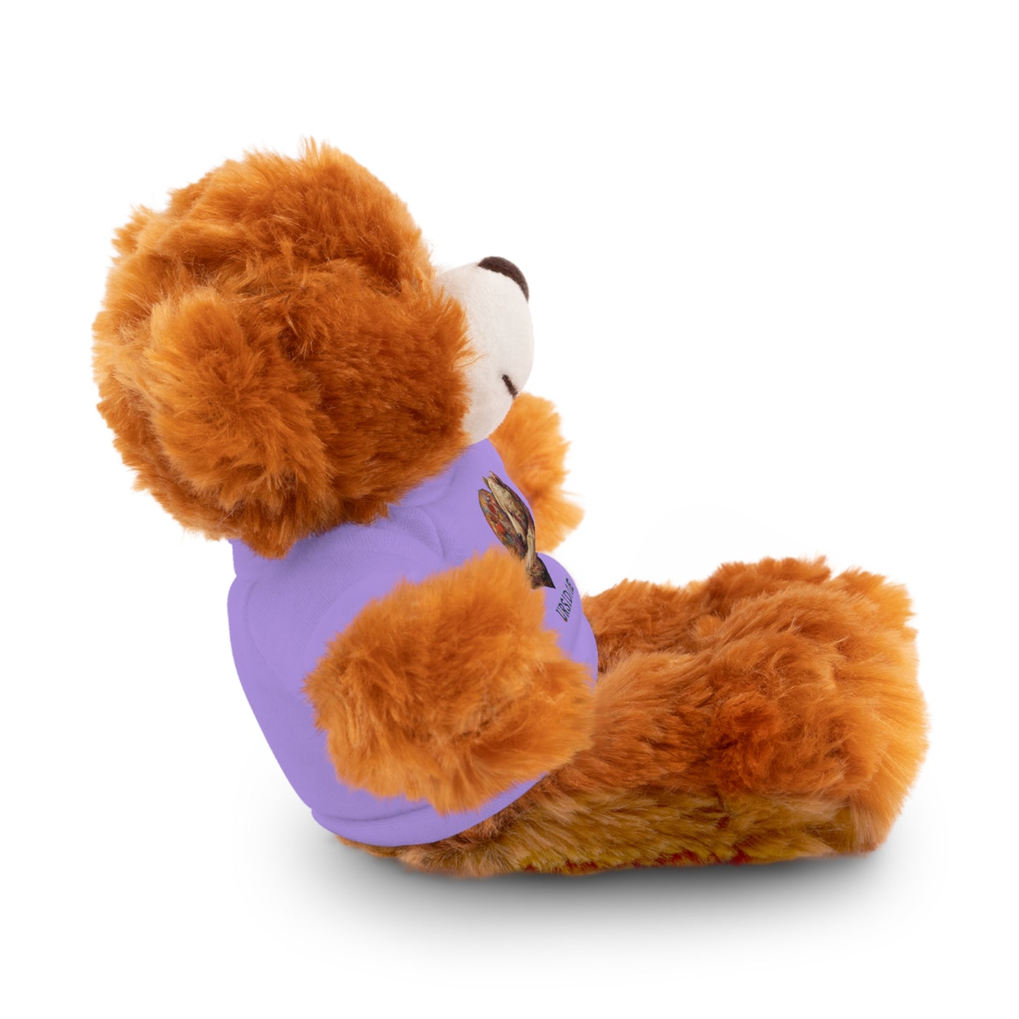 BearHeart Stuffed Animals with Tee